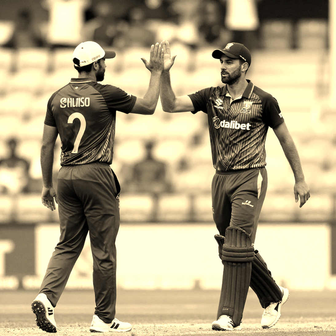 The Empty File: The Cricket Report Where Every Column Read N/A The Empty File: The Cricket Report Where Every Column Read N/A