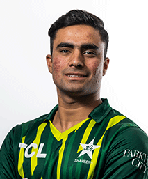 सज्जाद अली